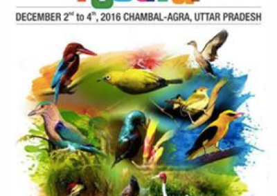 UP Bird Festival 2016