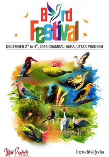 UP Bird Festival 2016